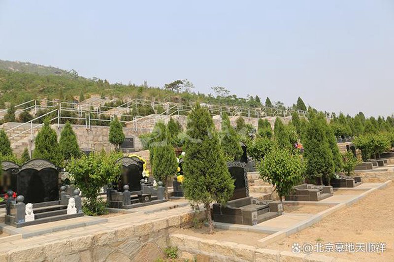 凤凰山公墓：城市灵魂的安放之所