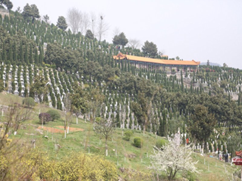 成都陵园：价格透明化的时代背景与趋势