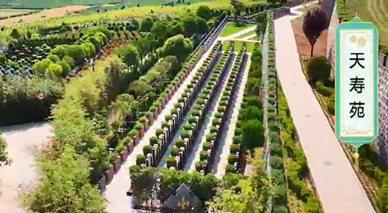 成都凤凰陵园：传承与缅怀的艺术之旅